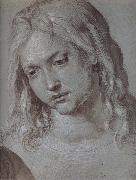 Albrecht Durer THe Head of christ at age twelve oil painting